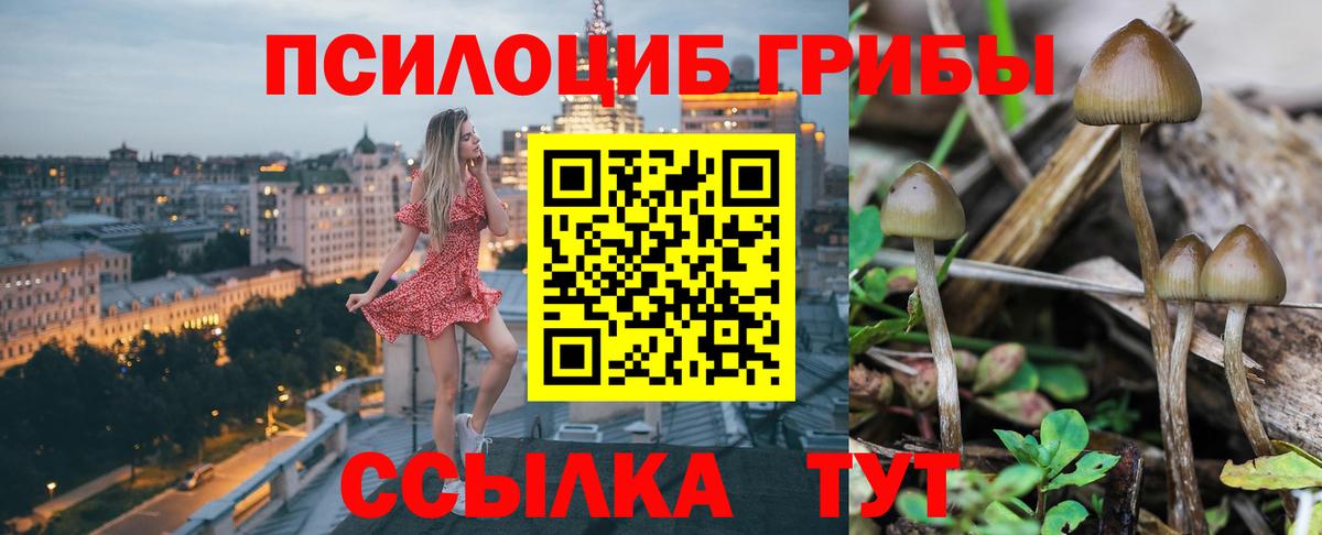 Псилоцибиновые грибы мицелий Нововоронеж
